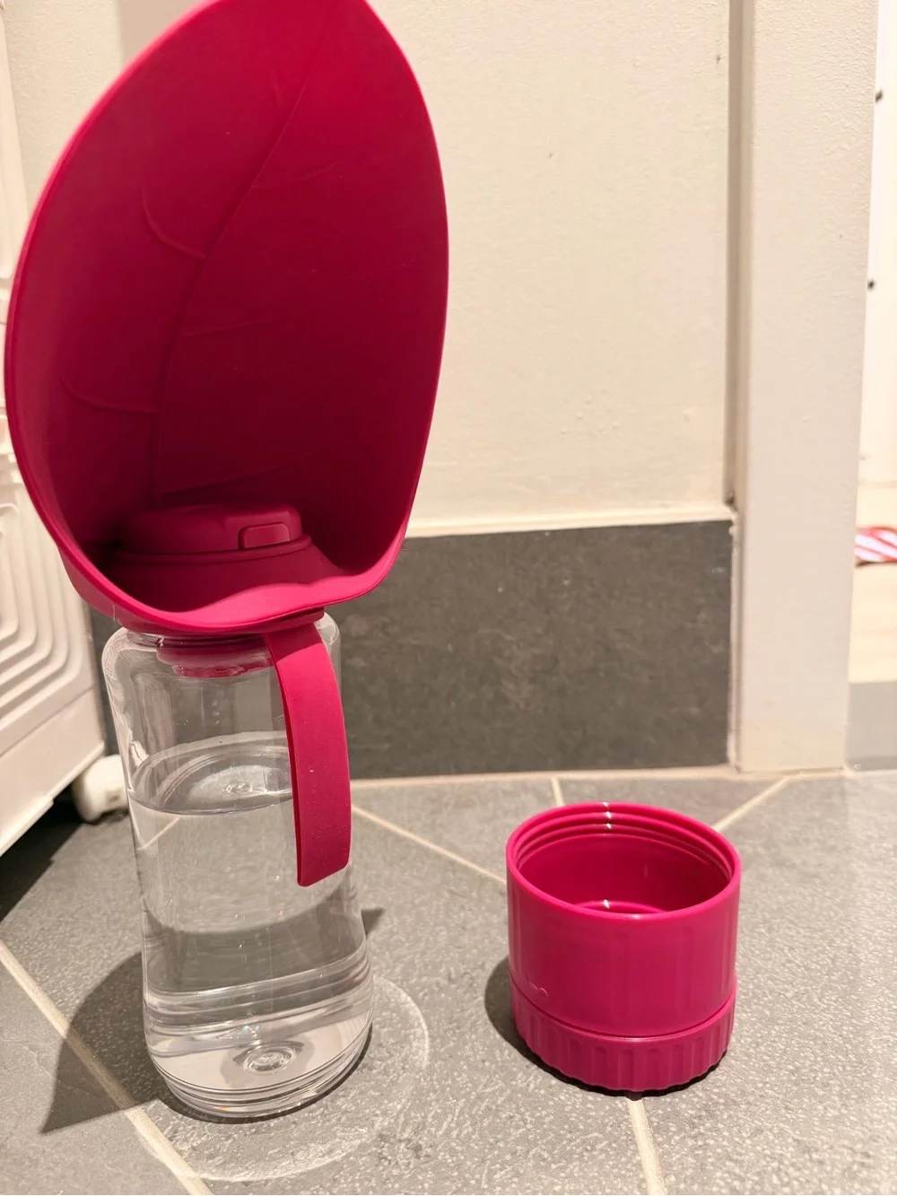 Pink Silicone Wrapped Glass Water Bottle - Stylish Dog Accessory